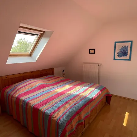Seepferdchen Krummhörn